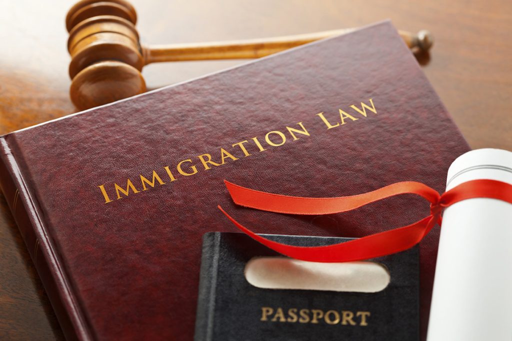 Immigration Case