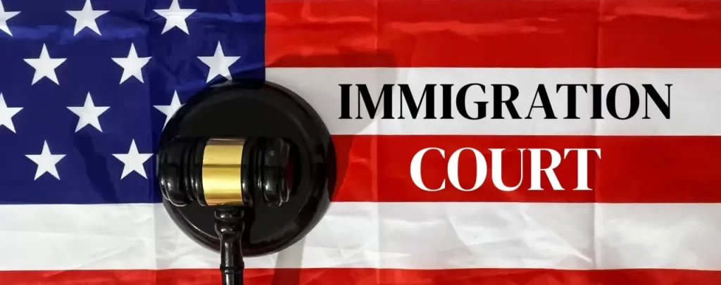 Missed Immigration Court